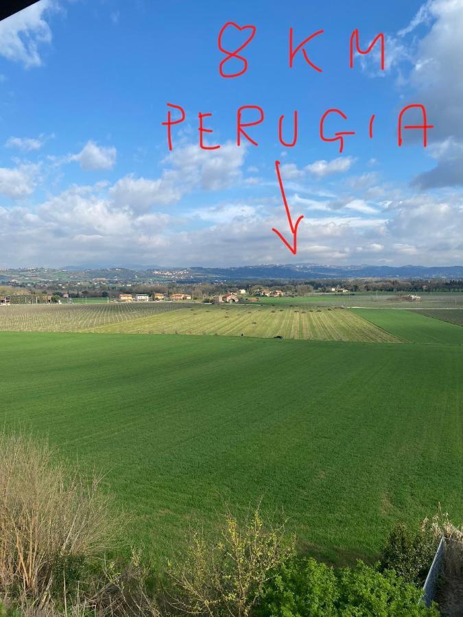 Appartamento A Torgiano Centro 外观 照片